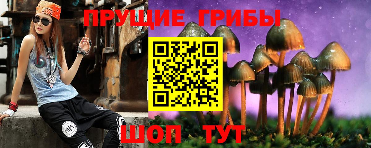 дарнет шоп  Псилоцибиновые грибы Psilocybe  Вход с VPN  Алейск 