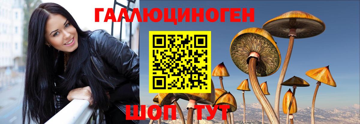Галлюциногенные грибы Magic Shrooms Алейск